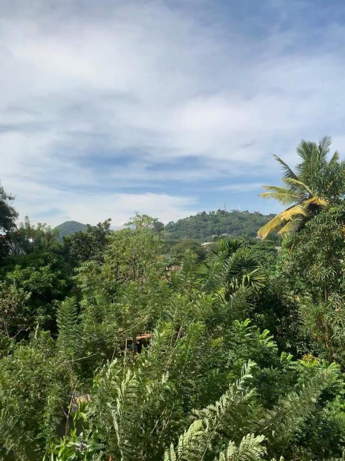 Sura Homestay Kandy Bagian luar foto