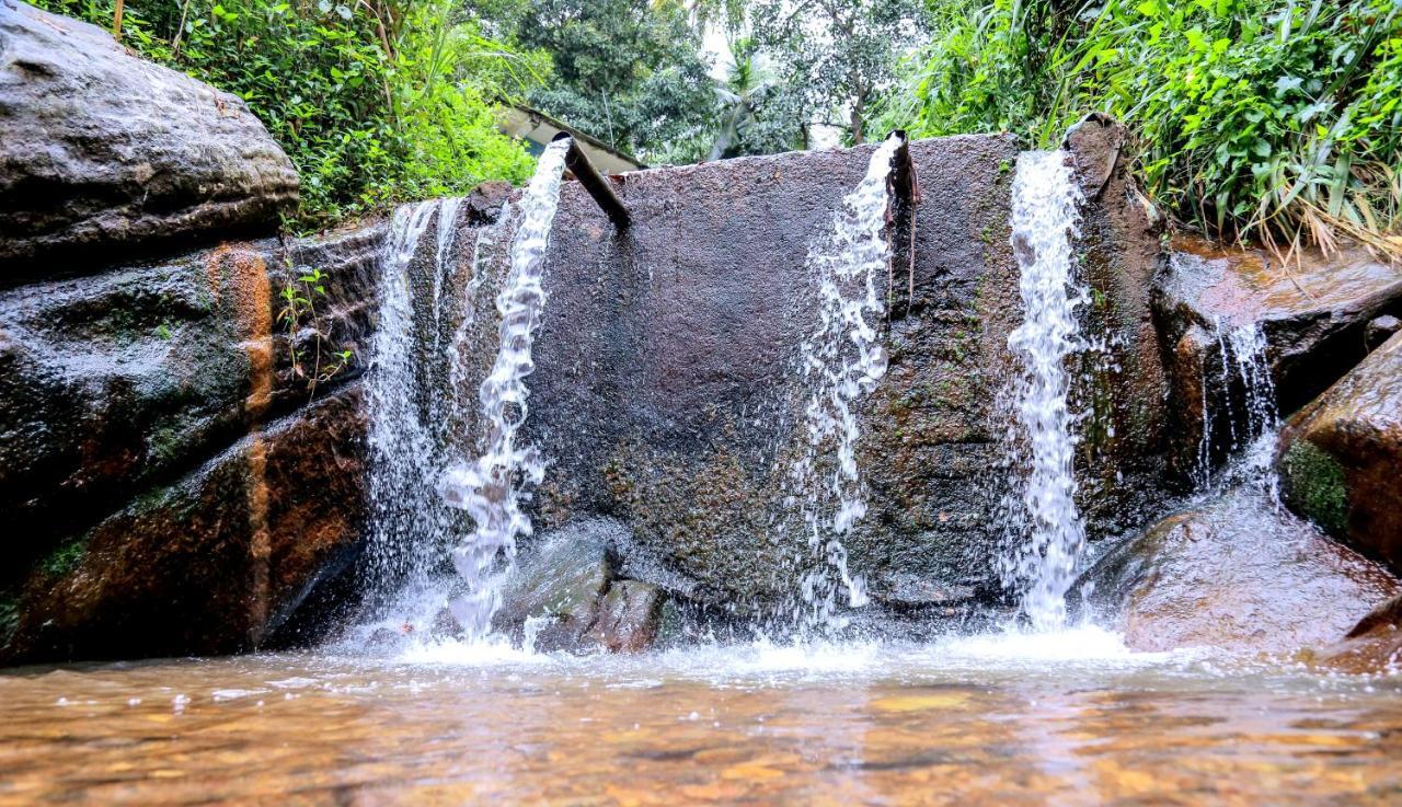 Sura Homestay Kandy Bagian luar foto